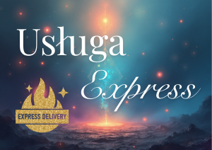 Usługa Express